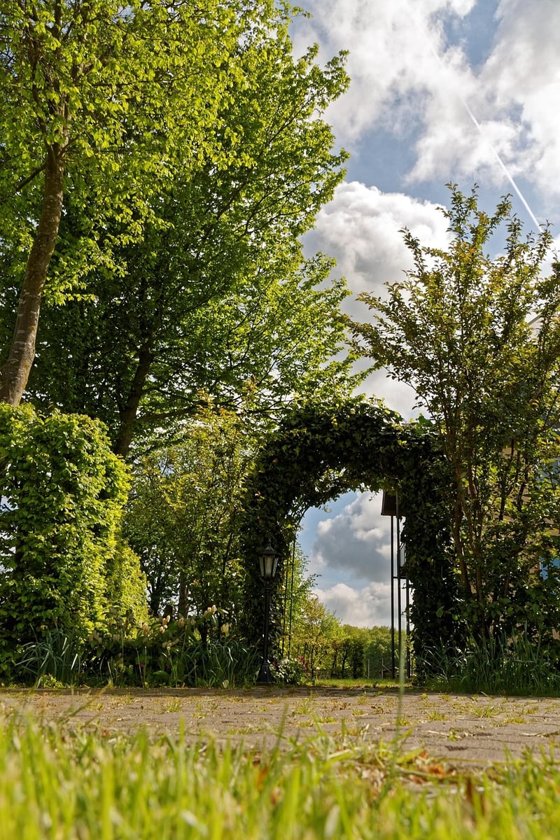 Secret Garden